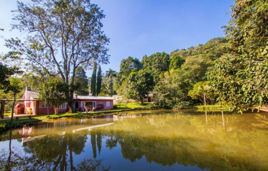 Villaggio Serra da Cantareira Natureza iv